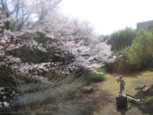 日本人は桜が好き
